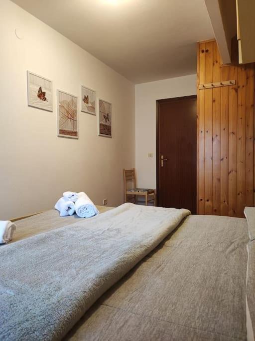 Appartamento La Casa Di Violetta Tonadico Exterior foto